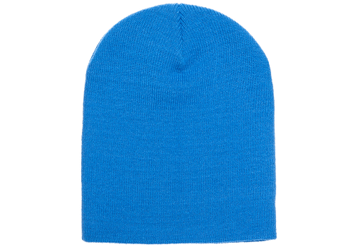Carolina Blue