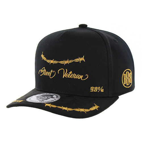 BBB001-14 STREET VETERAN, HYDRO- BLACK