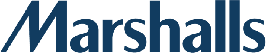 Client logo 11